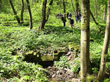 am Bismarkborn von 1932 holte man das Wasser fr den Bismarckturm - hinter dem Bahnhof Buchenwald