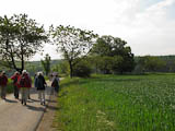 am Beginn zieht sich die Gruppe schnell auseinander - vor der grossen Linde auf dem Goethewanderweg