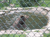 sie fhlen sich wohl im Freizeitpark