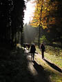 herrliche Herbststimmung mit vielen Farben auf dem Weg nach Sden