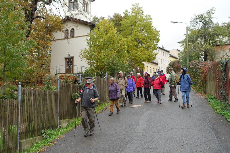 Abstieg zur Nicolaistra?e neben Ferbers Anbau im Botaniscen Garten