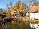 schne Bilder im goldenen Herbst