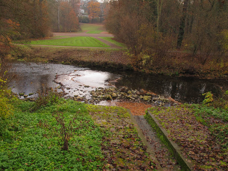 Beginn der Exkursion am Regenwasser?berlauf der ?ffentlichen B?che in Weimar an der Ilm