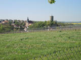 Blick auf Schnburg vom Weinberg am Fachberg