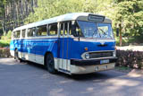 auch solche schoenen Busse fahren noch - (IKARUS-Bus)