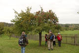 kurz vor Waldeck ziegt sich der Herbst von der besten Seite 