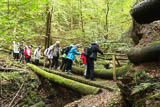 auf der "schluepfrigen" Bruecke kann man kaum gehen - geschweige stehen.