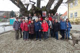 damals waren es 43 Teilnehmer - heute 23, welche an der Exkursion teilnahmen! - (Gruppenbild unter der Baumbachlinde)