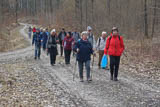 Abgang der Wandergruppe vom Willinger Berg in geschlossener Formation!