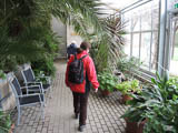 sehenswertes Palmenhaus an der Kurpromenade Bad Duerrenberg