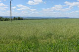 weiter Blick zum Thueringer Wald mit Inselsberg und dem Seeberg im Vordergrund von der Strasze zur Gaststaette "Waldhaus Erfurt"