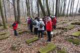 ... auf dem historischen Waldfriedhof!