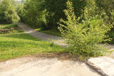 Walter-Steiner-Weg Richtung Ilm-Radweg 
