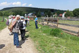 Tierhaltung in großen Gattern