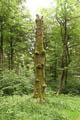 Werden und Vergehen in der Natur! - am Abstieg vom Großen Inselsberg!