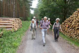 weiter ging es tief in den Wald am Schläuder-Bach!