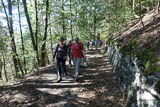 Waldweg nach Schmiedebach mit Trockenmauern aus Schiefer.