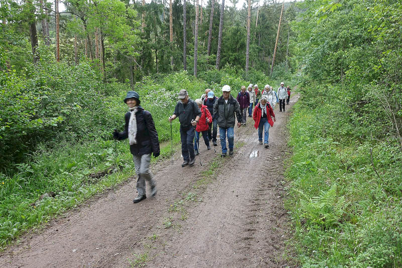 Bei herrlichstem Wanderwetter durch den Wald von Teichel nach Gro&szlig;kochberg!