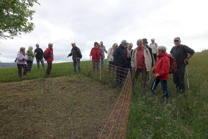 Wo geht es nun weiter an der Schafkoppel?