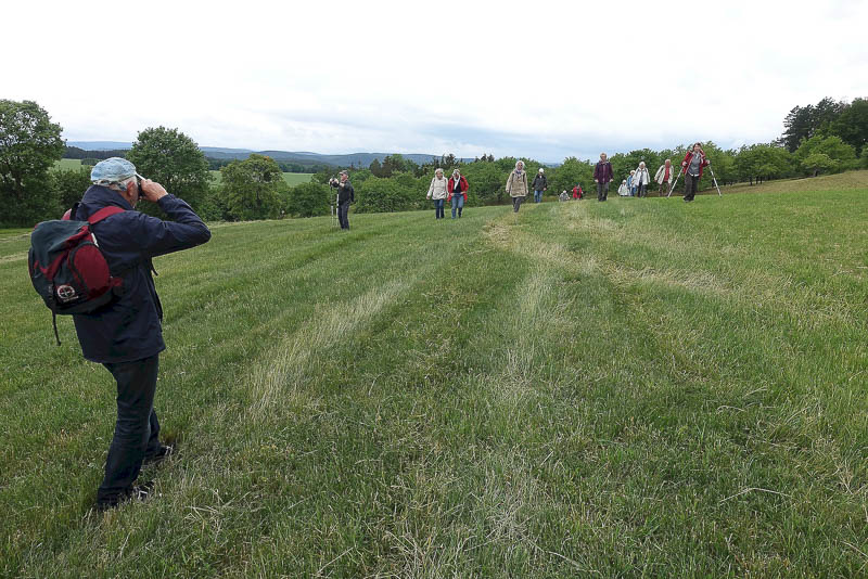Jeder m&ouml;chte das aussagekr&auml;ftigste Foto auf diese sch&ouml;nen Wiese!