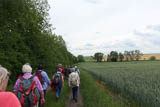 auf der langen Strecke von Ollendorf nach Wallichen.