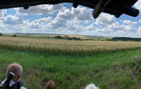 weiter Blick über die Braugerste- und Grünfutterfelder bis Hochdorf bei hochsommerlichem Wetter!