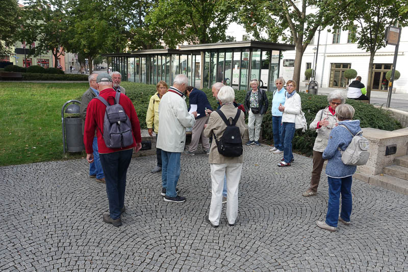 Weißkopfadler auf der Niederburg