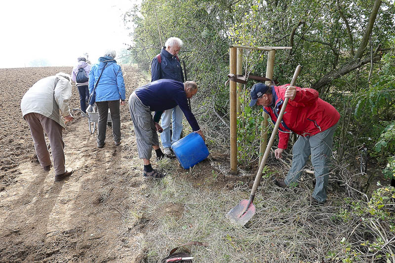 W&auml;sserung des Setzlinges mit 20 l H2O und Ber&auml;umung der Baustelle !
