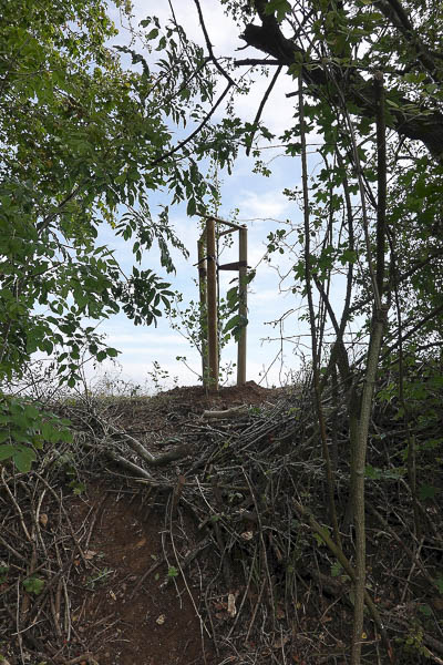 Das Ergebnis noch einmal betrachtet vom Weg ! Wird er dieses Mal gut anwachsen?