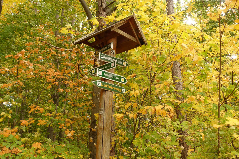 auf dem Z&ouml;glingsweg der Salzmannschen Erziehungsanstalt!
