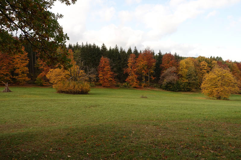 Rast an der Kr&auml;uterwiese in herrlichstem Herbstlaub!