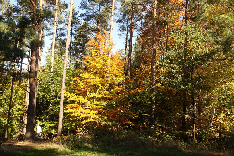 nach der Essenspause und Vorbereitung zum ....
