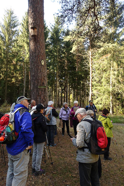 ... Waldbaden!! - Vortrag durch Uschi !      Sehr theoretische Auffassung, durch den Wald zu "flanieren" !!!