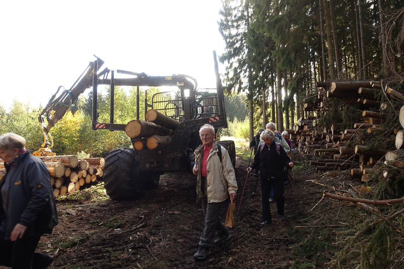 Borkenk&auml;ferholz muss schnell aus dem Wald! - freundlicher Durchgang!